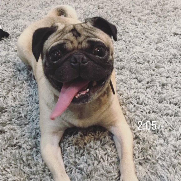 ALL NFS IS DONATED 👀 - Picture 2 of 6